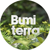 Bumi Terra